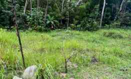 Tanah Murah Bantul Jogja, 2.5km jl. Bibis, Cocok untuk Hunian