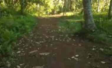 dijual tanah banjar dinas munduk desa