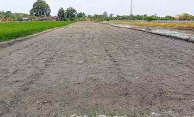 dijual tanah banyudono