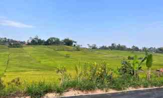 Dijual Tanah 1000m2 Datar Barat Pasar Karangpandan Karanganyar