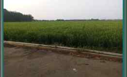Dijual Tanah Sawah di Baturaden Karawang, Cocok Buat Investasi