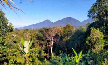 Plantation Land With Mountain and Valley Views in Baturiti Bali