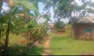 Dijual Tanah Kebun Lingkungan Penduduk Akses jl Mobil Masuk