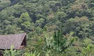 Tanah Dijual di Bedugul, Tabanan, Bali