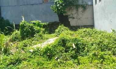 dijual tanah belakang citraland