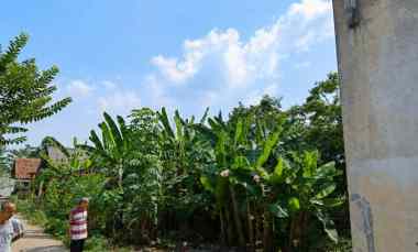 Tanah Dijual di Belakang perumahan puri nusapala