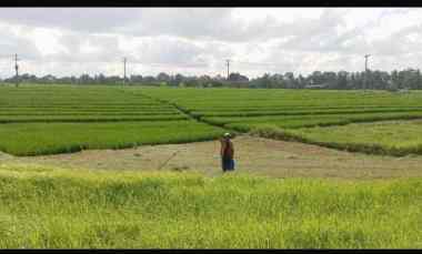 Dijual Tanah Beraban Selemadeg Tabanan Bali
