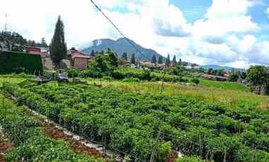 Jual Tanah Shm 10.080 M di Berastagi Peceren dengan View Terbaik