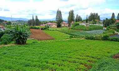 Dijual Tanah 7.220 M di Berastagi Peceren View Terbaik O8I3II6II4I