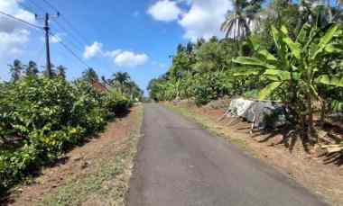 dijual tanah berlokasi di lumbung lokasi strategis