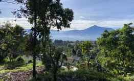 Tanah Dijual di jl raya tajurhalang cijeruk