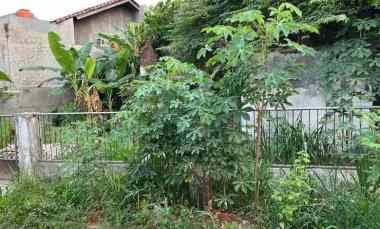 Dijual Cepat Tanah Murah Lokasi di Pondok Aren - BU