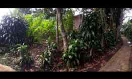 Tanah Murah di Ciawi Kabupaten Bogor 200 meter Bentuk Persegi