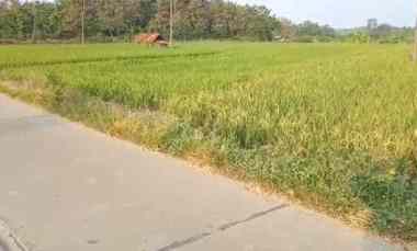 102 Ha Sawah Kebun Zona Industri, Cipelang Ujung Jaya Sumedang