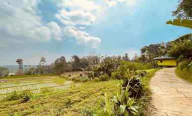 Jual Murah Tanah Sawah Ada Mata Air Udara Dingin di Bojong Purwakarta
