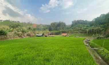 Murah Tanah Sawah Kolam Ikan dan Kebun Dijual Murah di Purwakarta