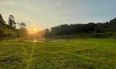 Tanah Dijual di Bojong
