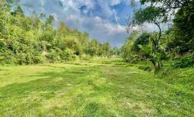 Tanah Dijual di Bojong