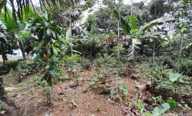 Tanah Dijual di Bojong