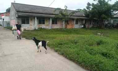 Tanah Dijual di Bojong renged teluknaga kab tangerang