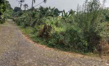 Dijual Murah Tanah 1000 m2 dekat Bomang Tajurhalang Bogor