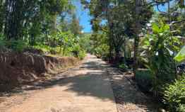 Dijual Tanah Bonus Kebun Durian Mojogedang Karanganyar