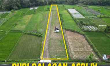 Tanah Murah Lokasi Strategis hanya 500 meter dari jl. Palagan