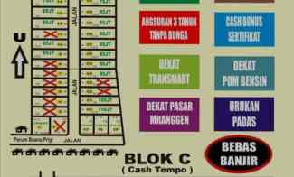 Tanah Dijual di buana prigi demak
