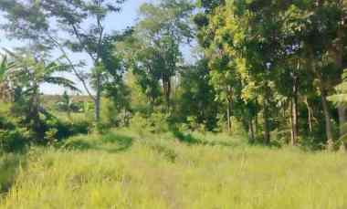 Tanah Dijual di Cilimus