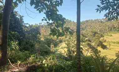 Dijual Tanah 2,5 Hektar Cocok untuk yang Mau Bangun Villa