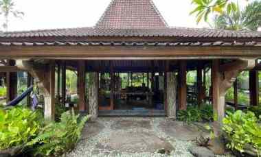 dijual tanah bumbak dauh