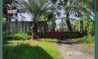 Tanah Pinggir Jalan Dijual Cepat di Bunibakti, Babelan, Bekasi