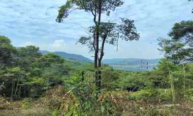 Tanah untuk Resort Wisata Peternakan dan Perkebunan di Subang