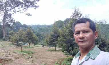 Kebun Durian Subang Investasi Pecinta Durian Sertifikat SHM