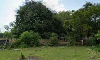 Dijual 1,5 Ha. jl. Taman Putri Bypass Ngurah Rai Benoa Nysa Dua