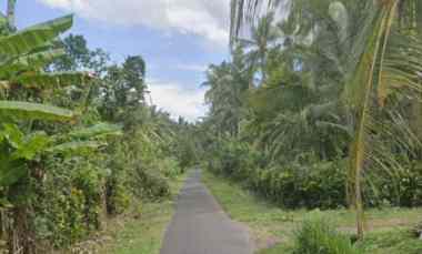 Tanah Dijual di Candikusuma, Jembrana, Bali
