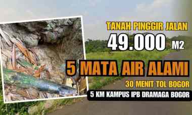 Jual Tanah di Ciampea Bogor, Pinggir Jalan Ada 5 Mata Air di Kebun