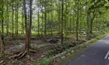 Dijual Tanah Kebun Pinggir jl Kabupaten di Kab.kuningan