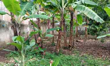 Tanah Kavling Ciawitali 5 menit Pemkot 8x17,5m Siap Bangun ALL IN