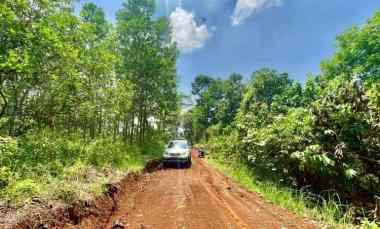 Tanah Kebun Jati dan Rambutan Cocok untuk Ternak di Purwakarta