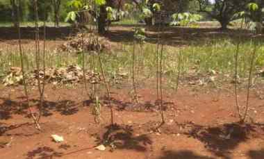 Tanah Dijual di Cigelam