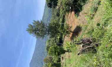 Tanah Dijual di jalan cijeruk tajur halang