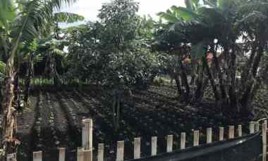 Tanah Pinggir Jalan Mainroad Cihanjuang Parongpong Bandung Barat