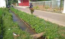 Tanah di Ciomas, LT. 3384m2, SHM, Lok. Bagus di Ciherang Cutak, Ciapus