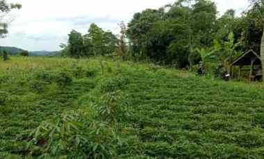 Tanah untuk Perumahan dan Permukiman dekat Pintu Tol Pamulihan Sumedang