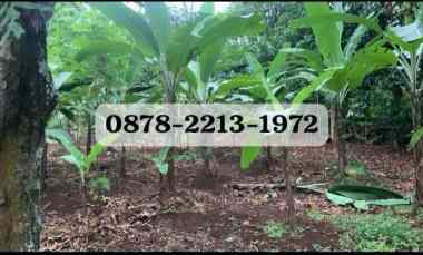 Tanah Dijual di CILEUNGSI BOGOR