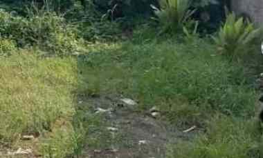 Dijual Tanah Kavling Siap Bangun dalam Cluster di Cinangka, Depok