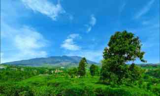 Tanah Dijual di cipada