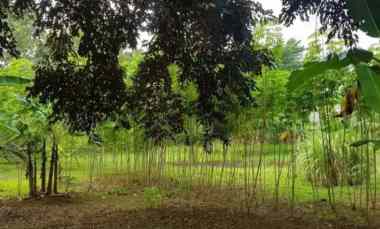 Jual Tanah Luas Strategis di Pisangan Tangerang Selatan