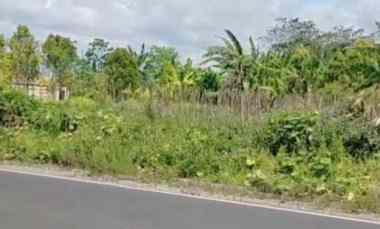 Tanah Dijual di Cisantana